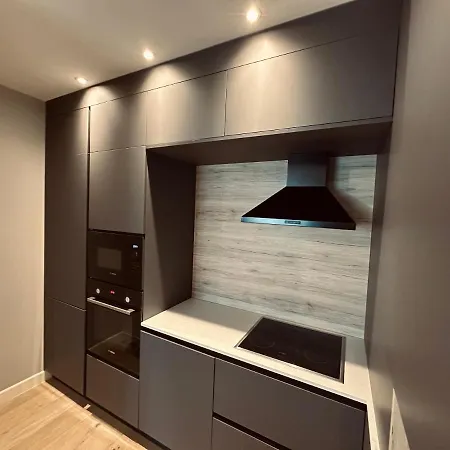 Apartment Vida Herastrau Luxury